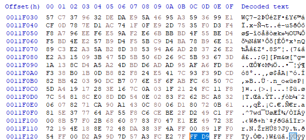 A screenshot of a JPEG file ending indicator, carved from DPBJ.009