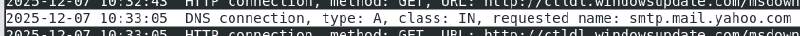 A screenshot of DNS traffic from the malware.