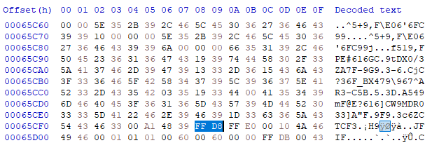 A screenshot of the beginning of a JPEG file carved from DPBJ.009